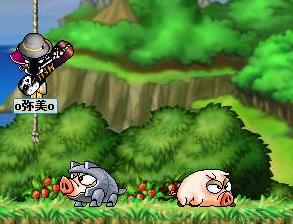 アイアンピグ"