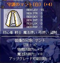 守護のマント(白)