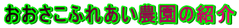 ӂꂠ_̏Љ
