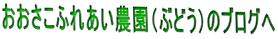 ӂꂠ_iԂǂj̃uO