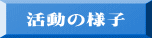 活動の様子