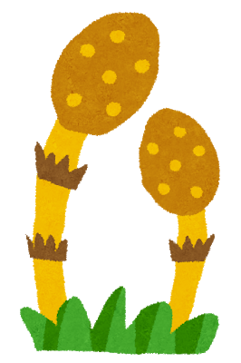 つくし
